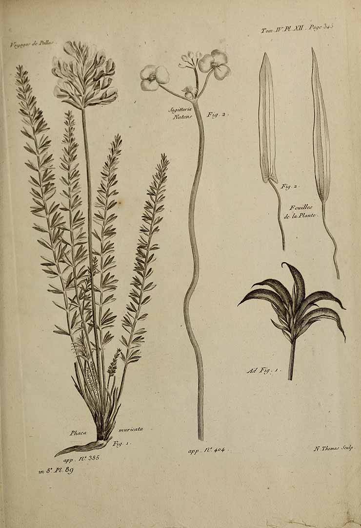 no HD illustration available (3)