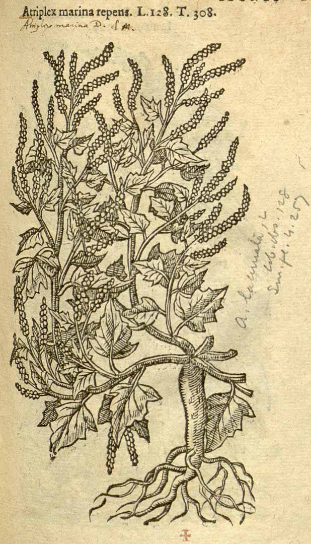 no HD illustration available (3)