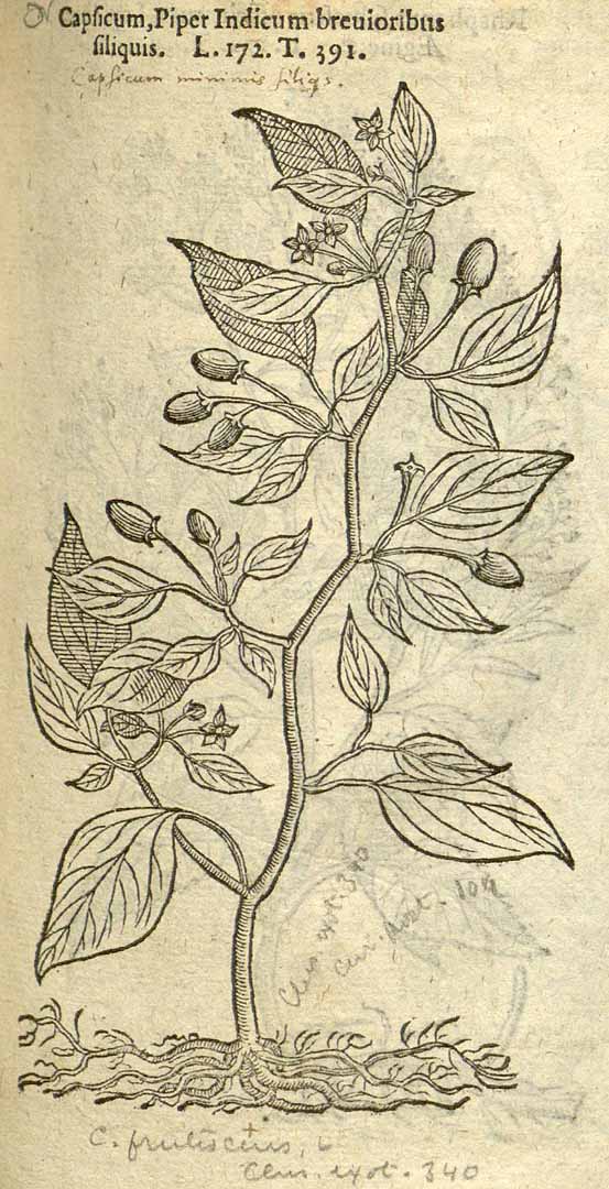 no HD illustration available (3)