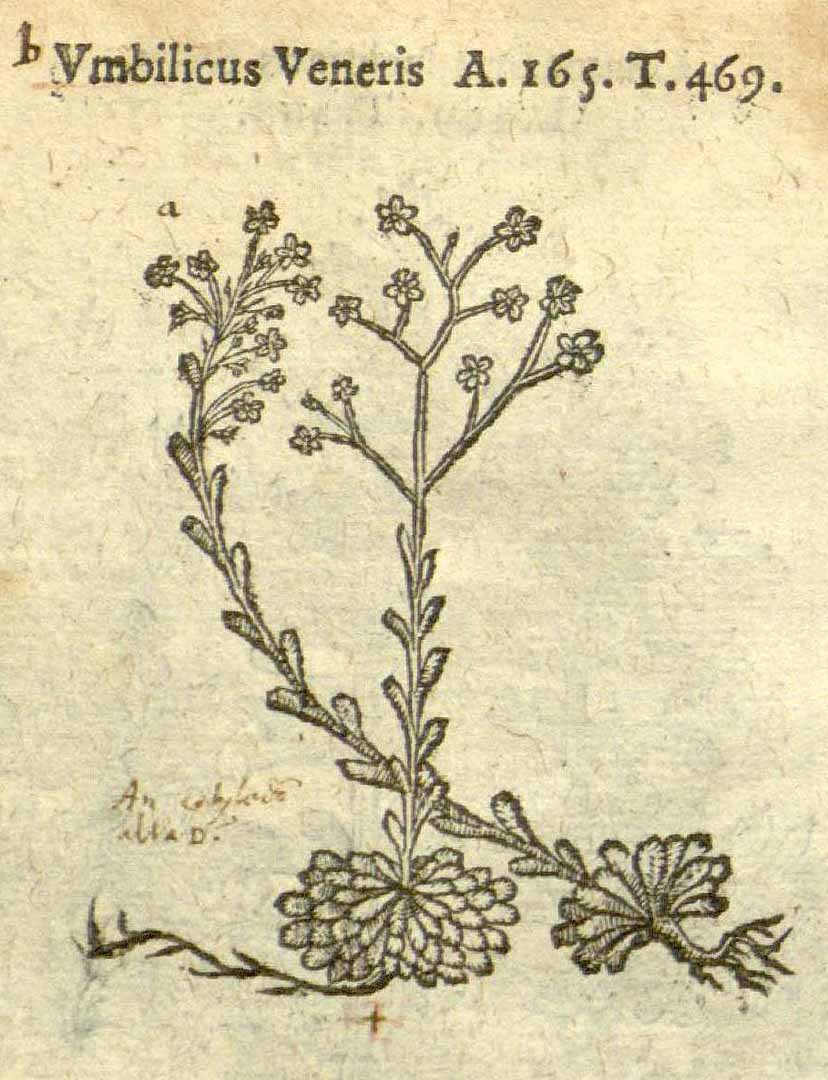 no HD illustration available (3)