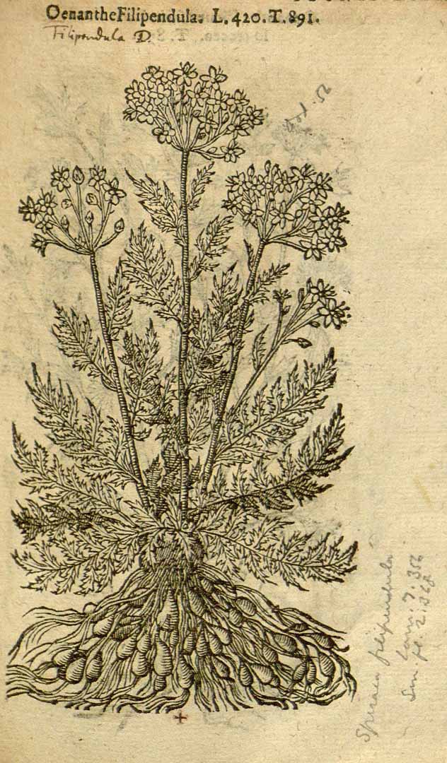 no HD illustration available (3)