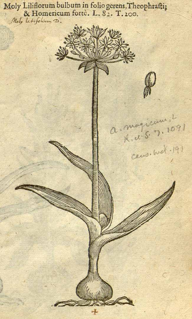 no HD illustration available (3)