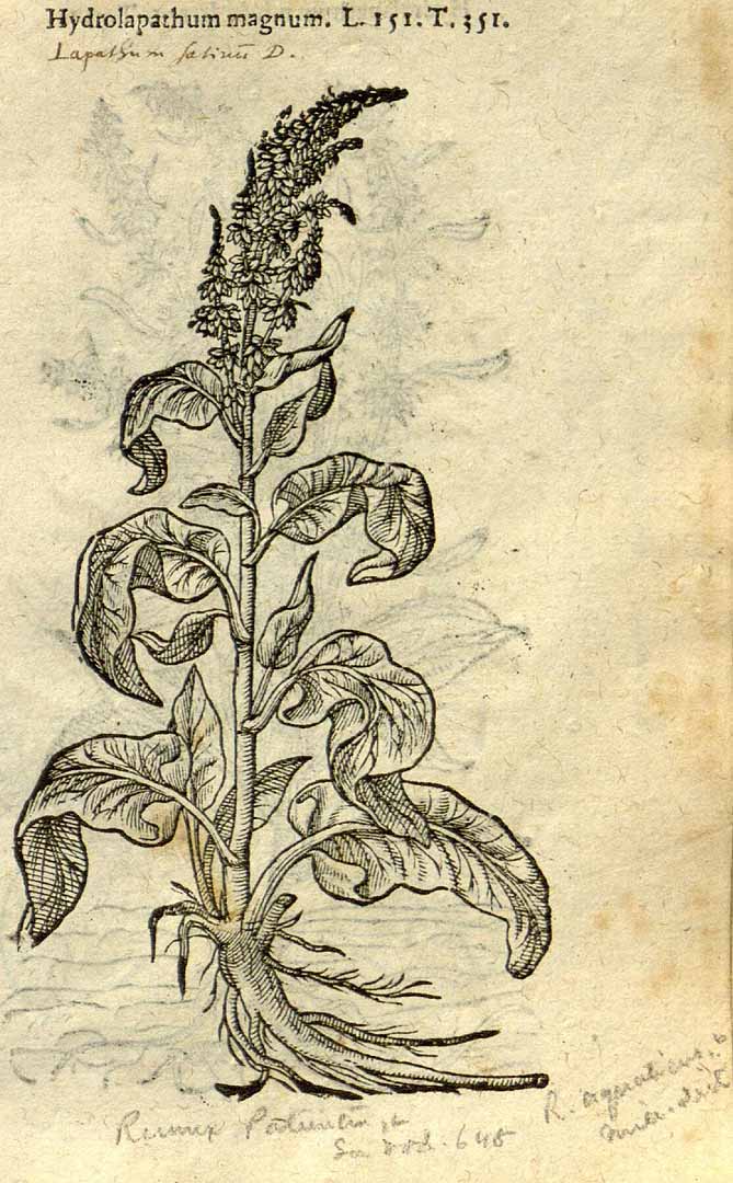 no HD illustration available (3)