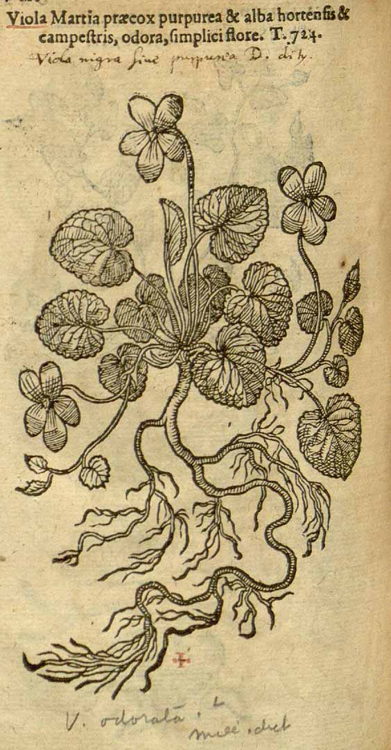 no HD illustration available (3)