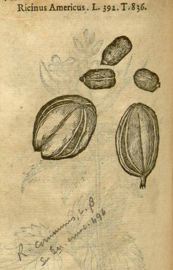 no HD illustration available (3)