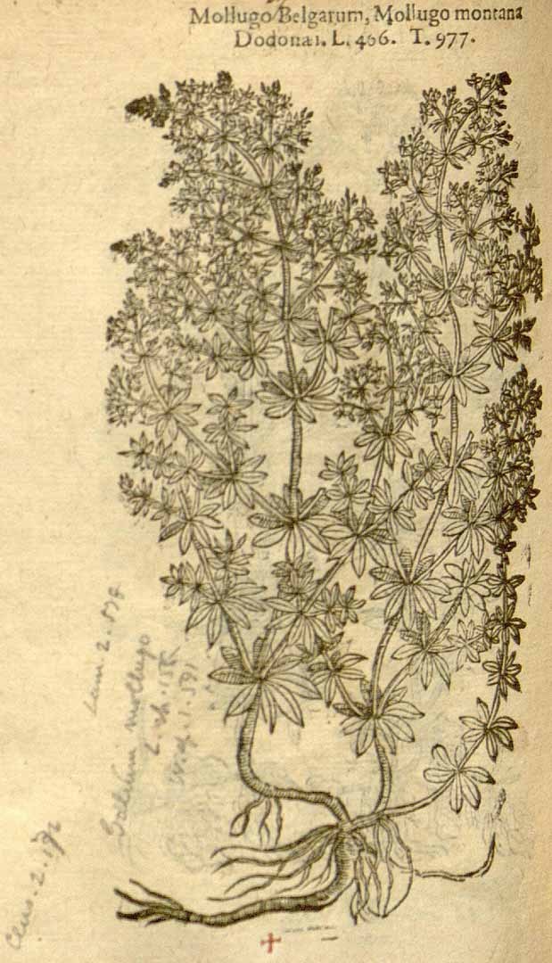 no HD illustration available (3)