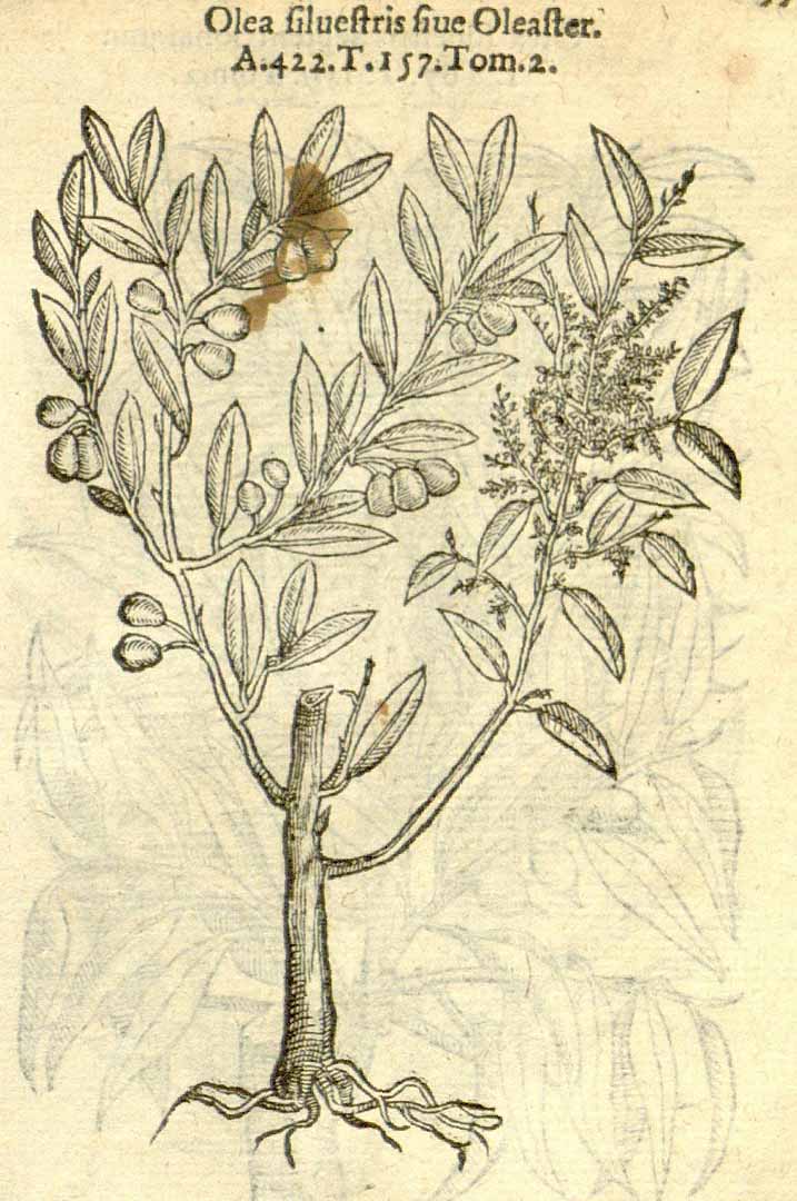 no HD illustration available (3)