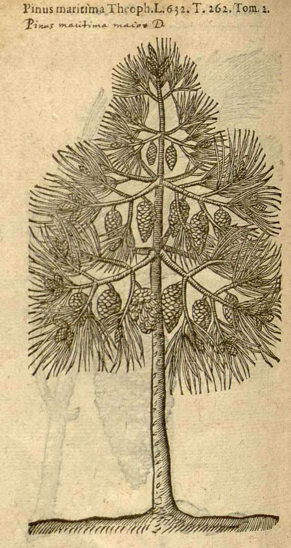 no HD illustration available (3)