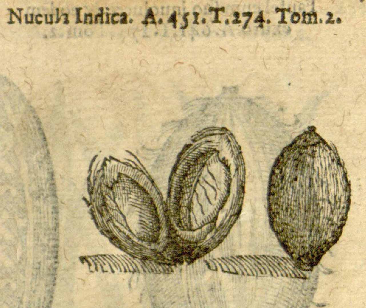 no HD illustration available (3)