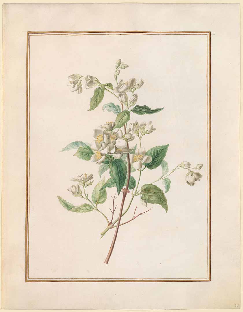 no HD illustration available (3)