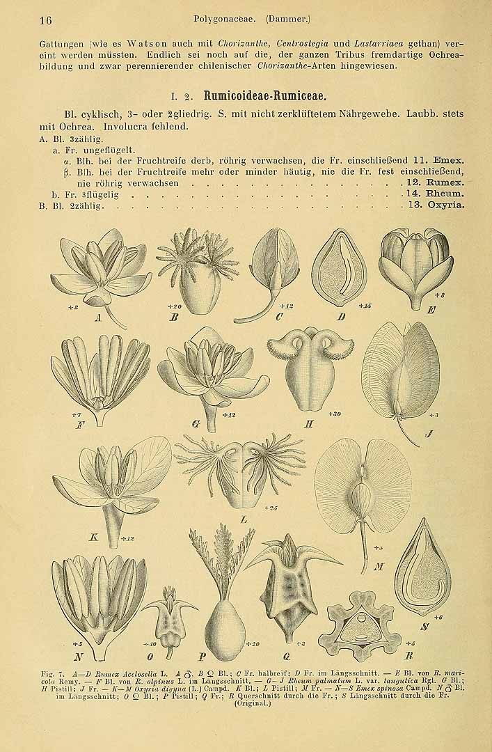 no HD illustration available (3)