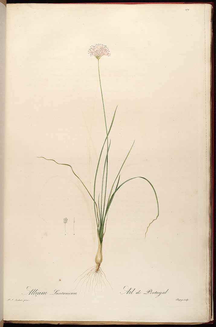 no HD illustration available (3)