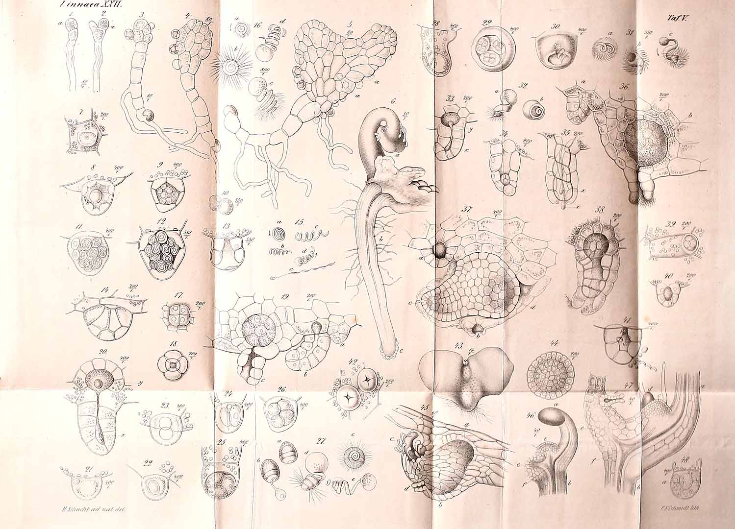 no HD illustration available (3)