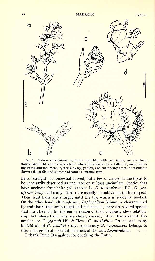 no HD illustration available (3)