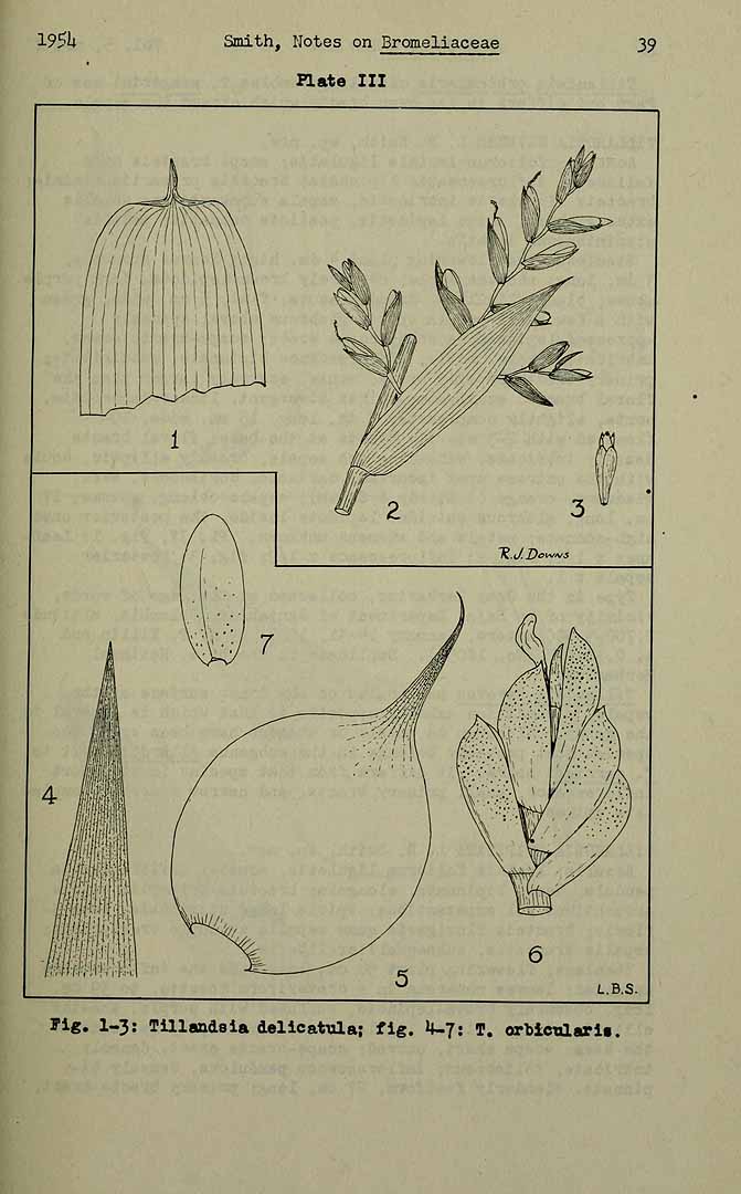 no HD illustration available (3)