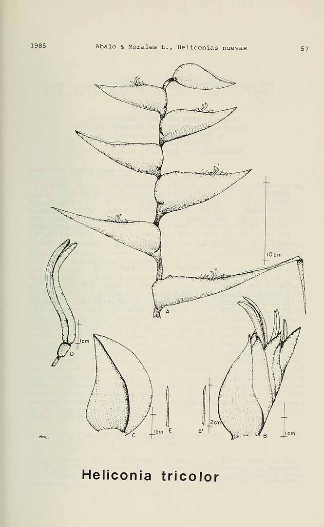 no HD illustration available (3)