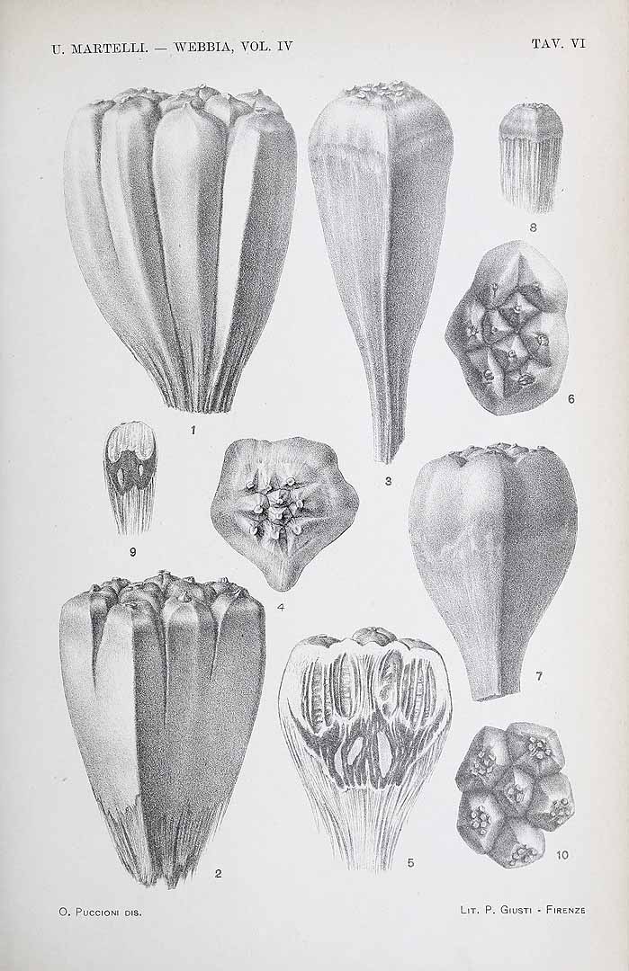 no HD illustration available (3)