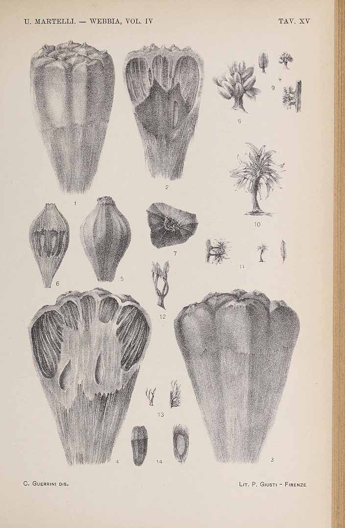 no HD illustration available (3)