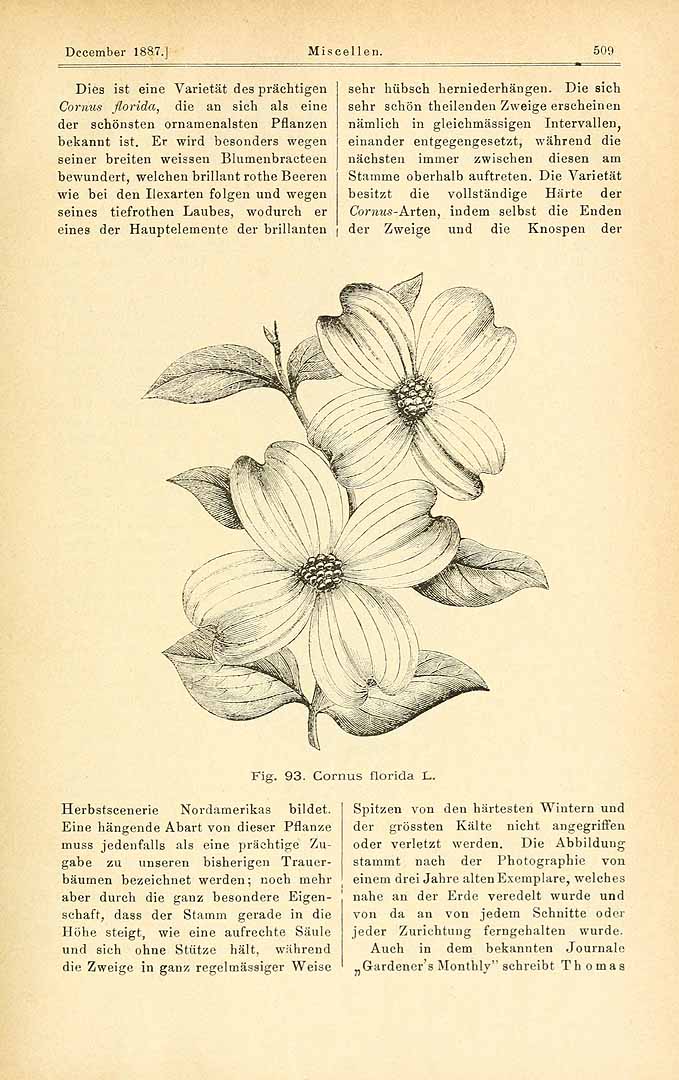 no HD illustration available (3)