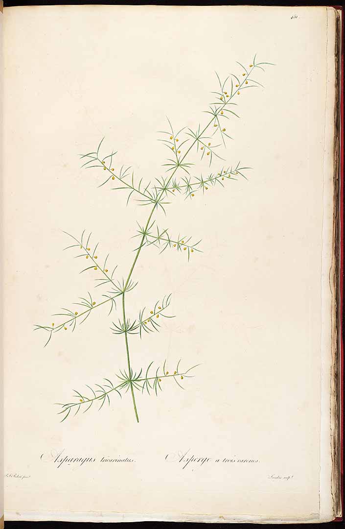 no HD illustration available (3)