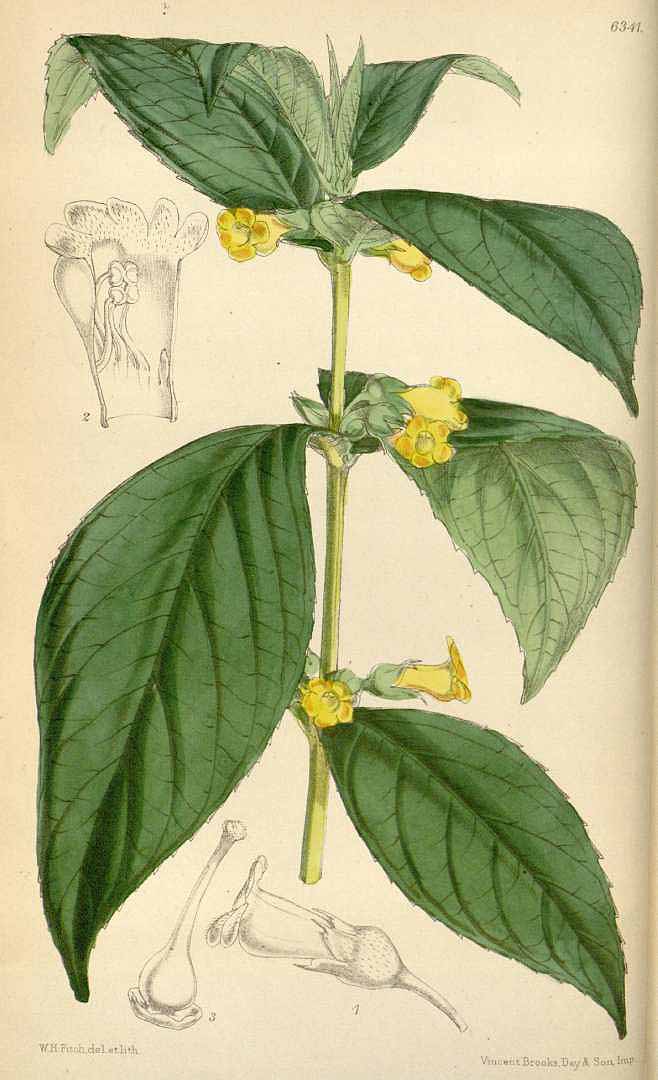 no HD illustration available (3)