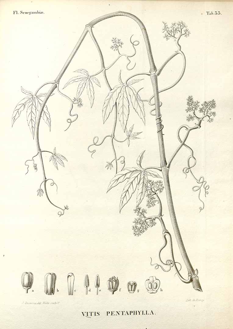 no HD illustration available (3)