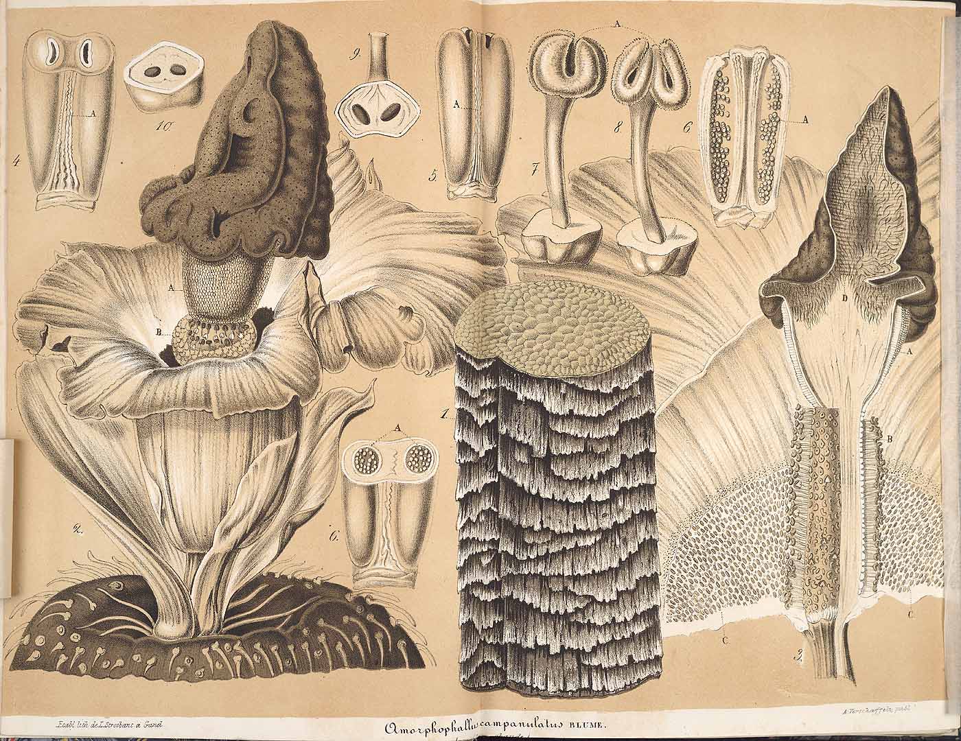 no HD illustration available (3)