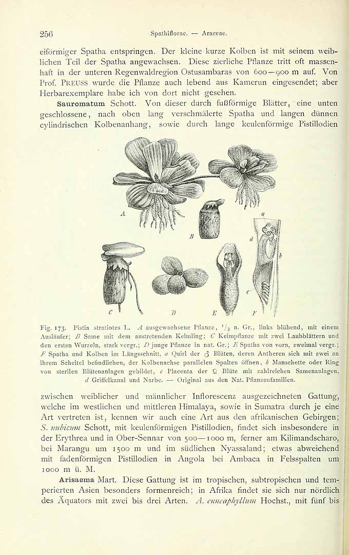 no HD illustration available (3)