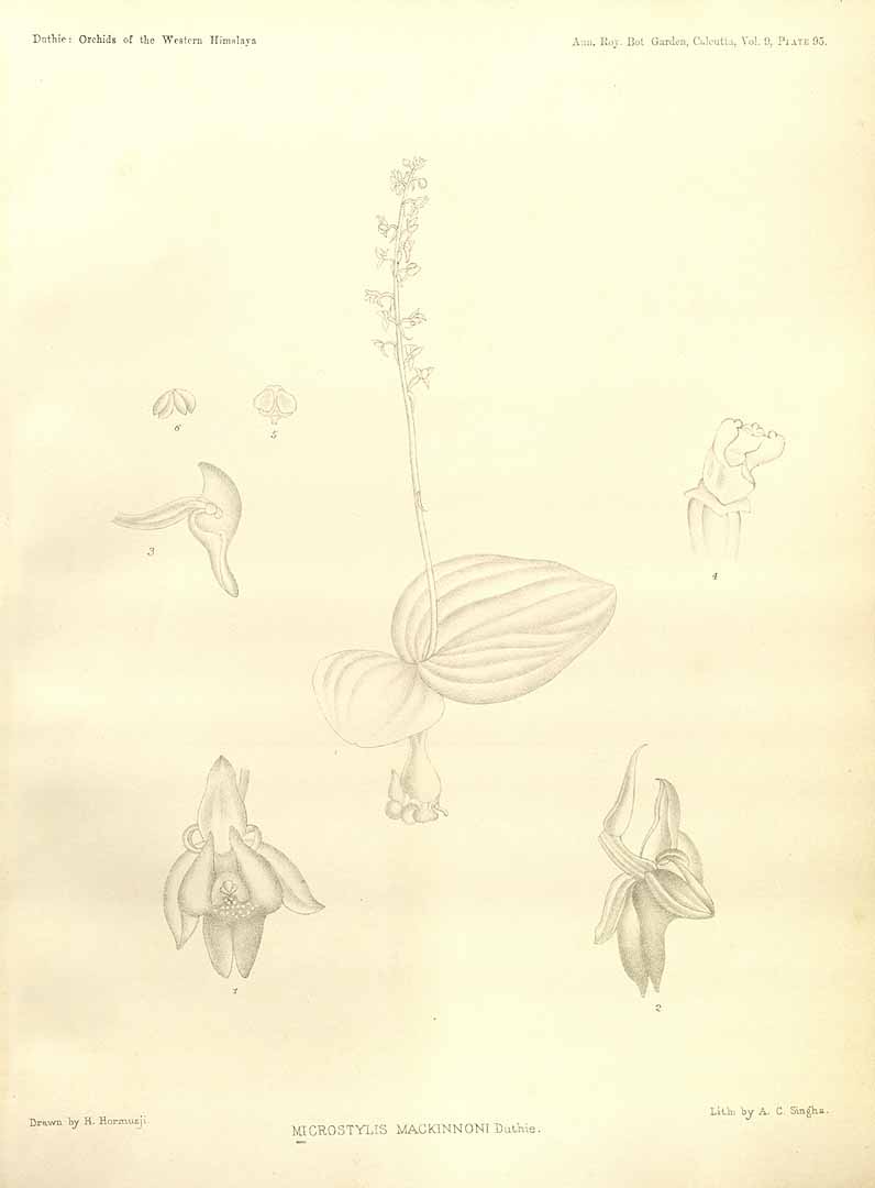 no HD illustration available (3)