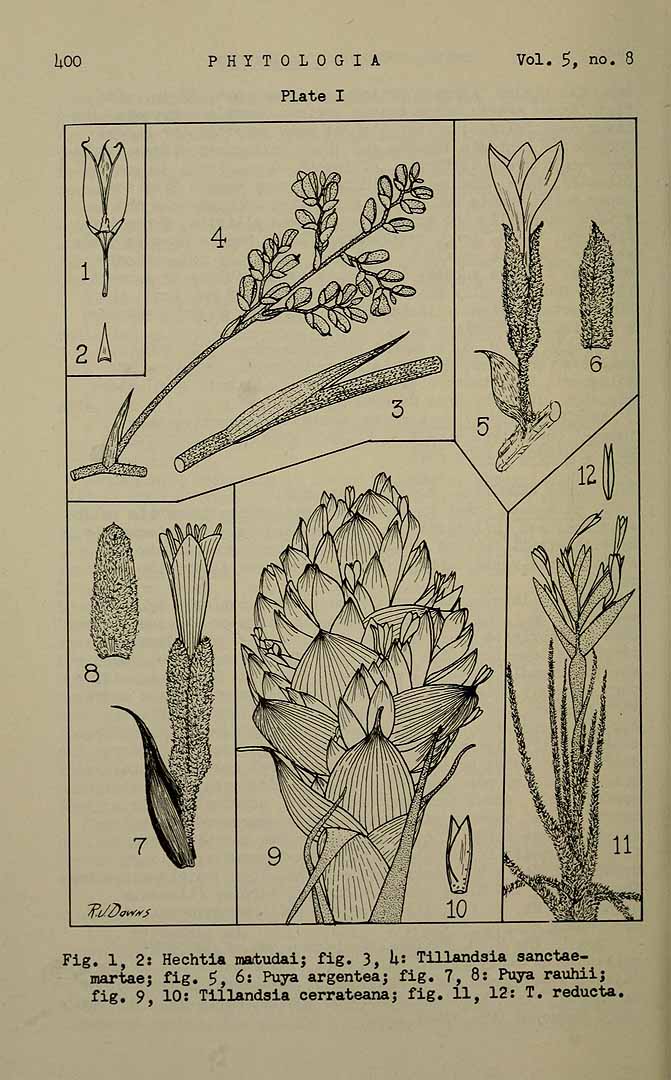 no HD illustration available (3)