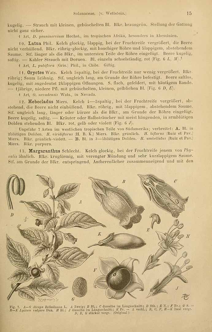 no HD illustration available (3)