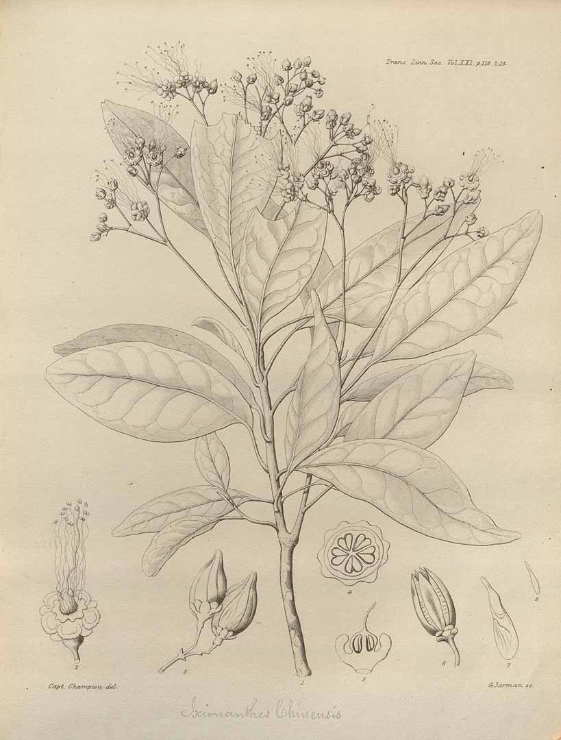 no HD illustration available (3)