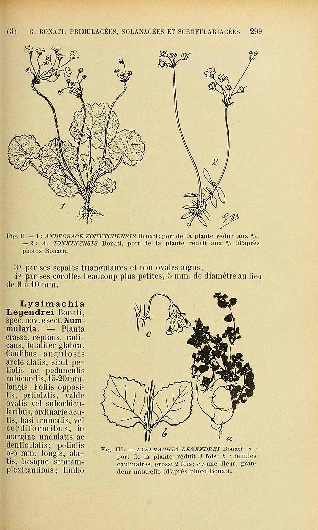 no HD illustration available (3)