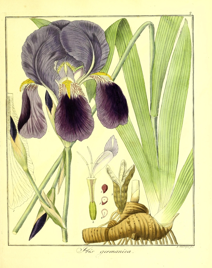 no HD illustration available (3)