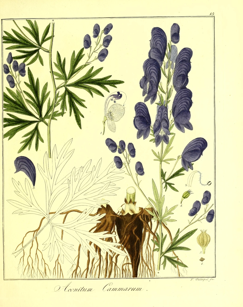 no HD illustration available (3)