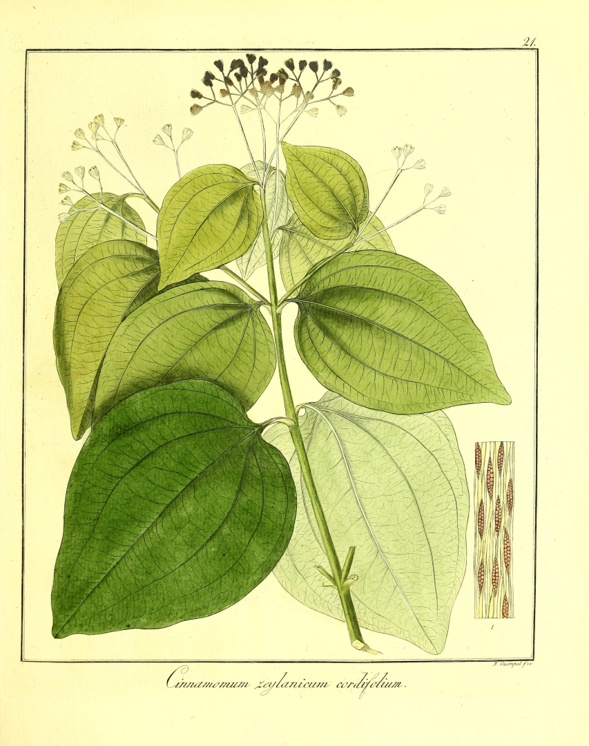 no HD illustration available (3)