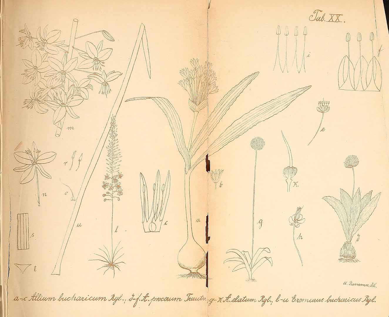 no HD illustration available (3)