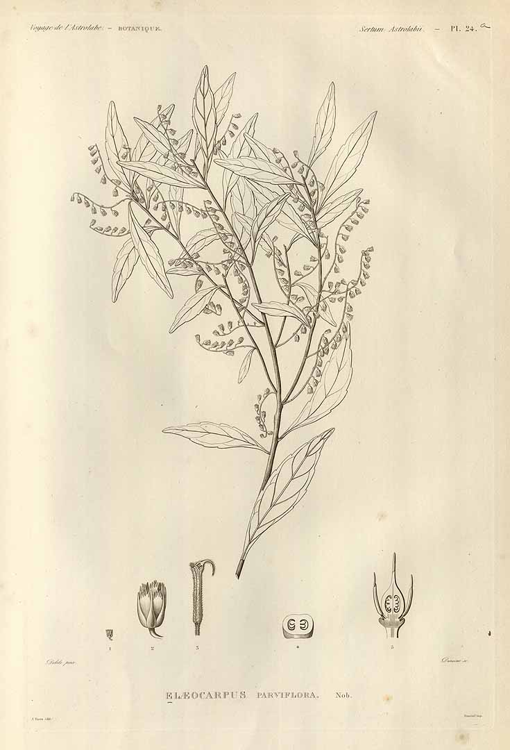 no HD illustration available (3)