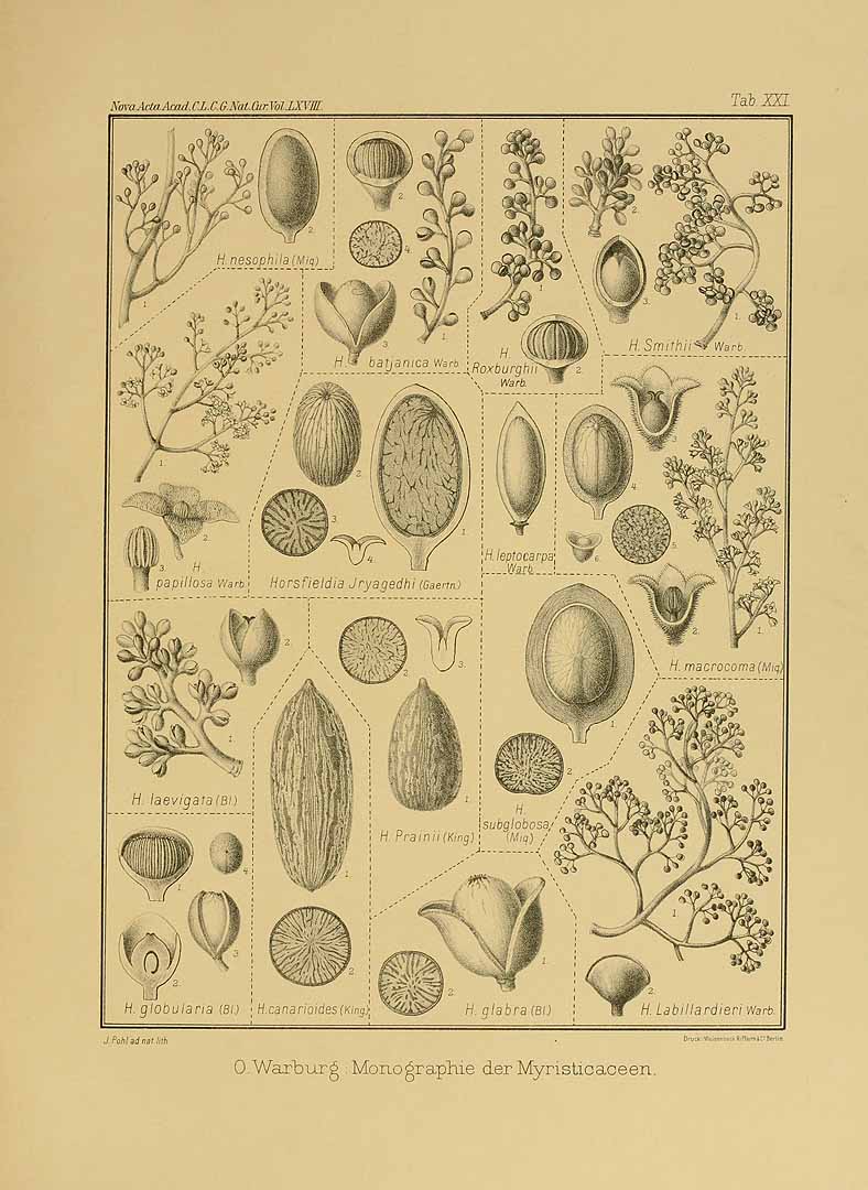 no HD illustration available (3)