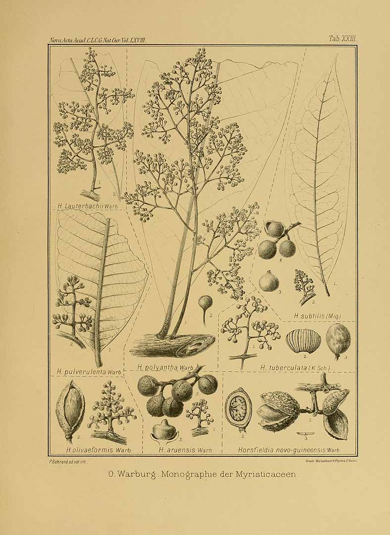 no HD illustration available (3)