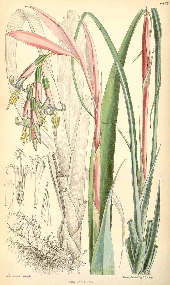 no HD illustration available (3)