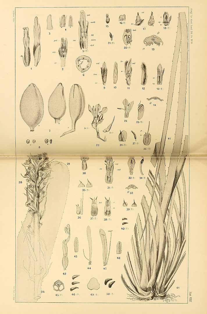 no HD illustration available (3)