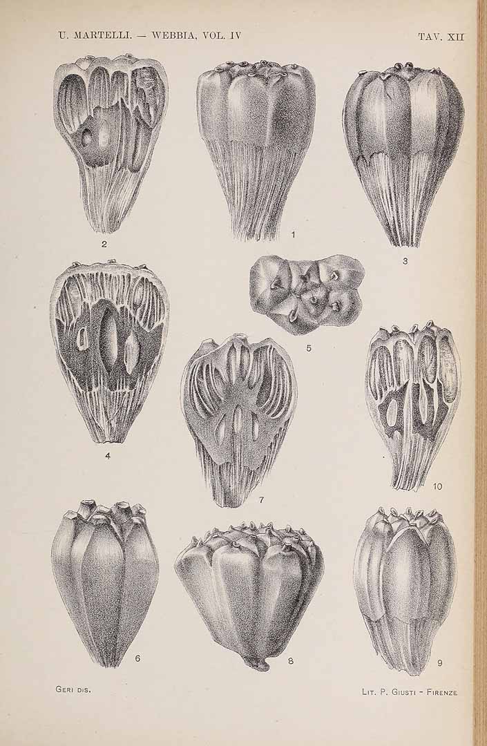 no HD illustration available (3)