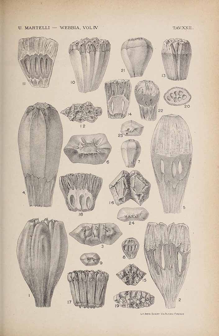 no HD illustration available (3)