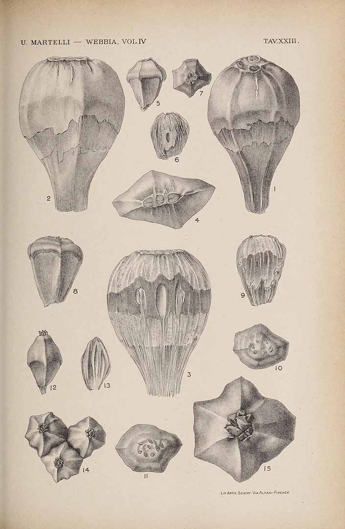 no HD illustration available (3)