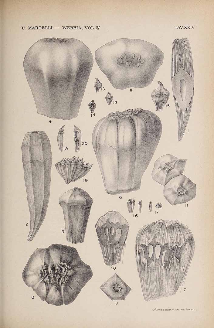 no HD illustration available (3)