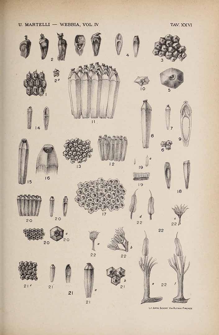 no HD illustration available (3)