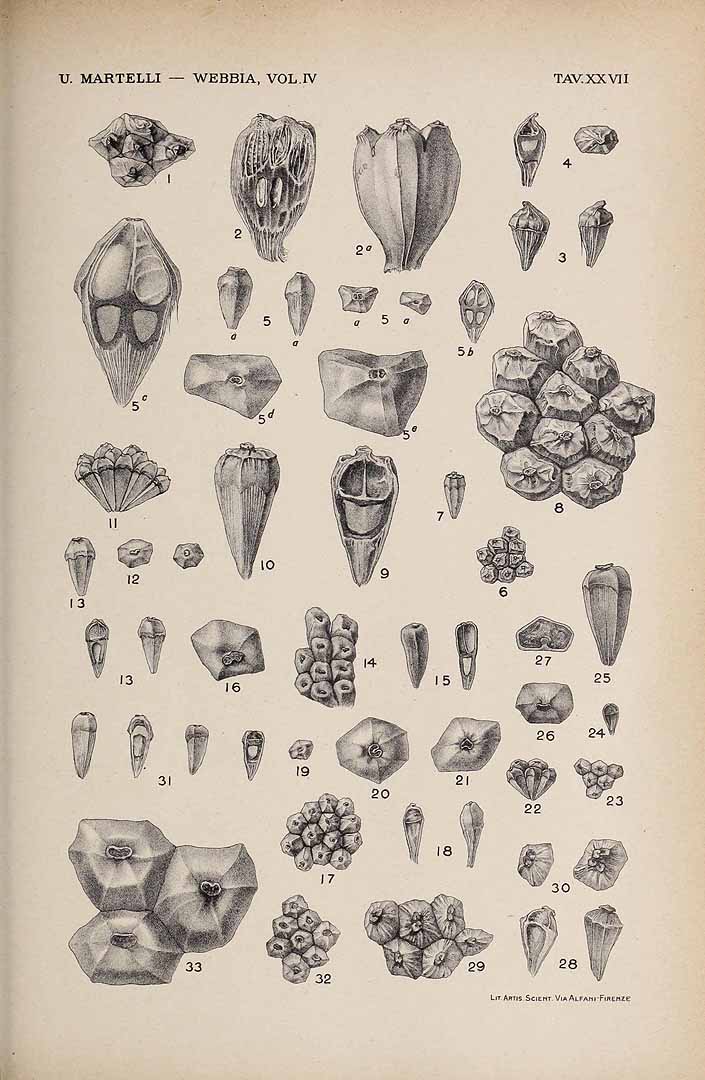 no HD illustration available (3)