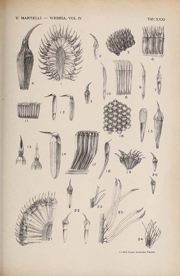 no HD illustration available (3)