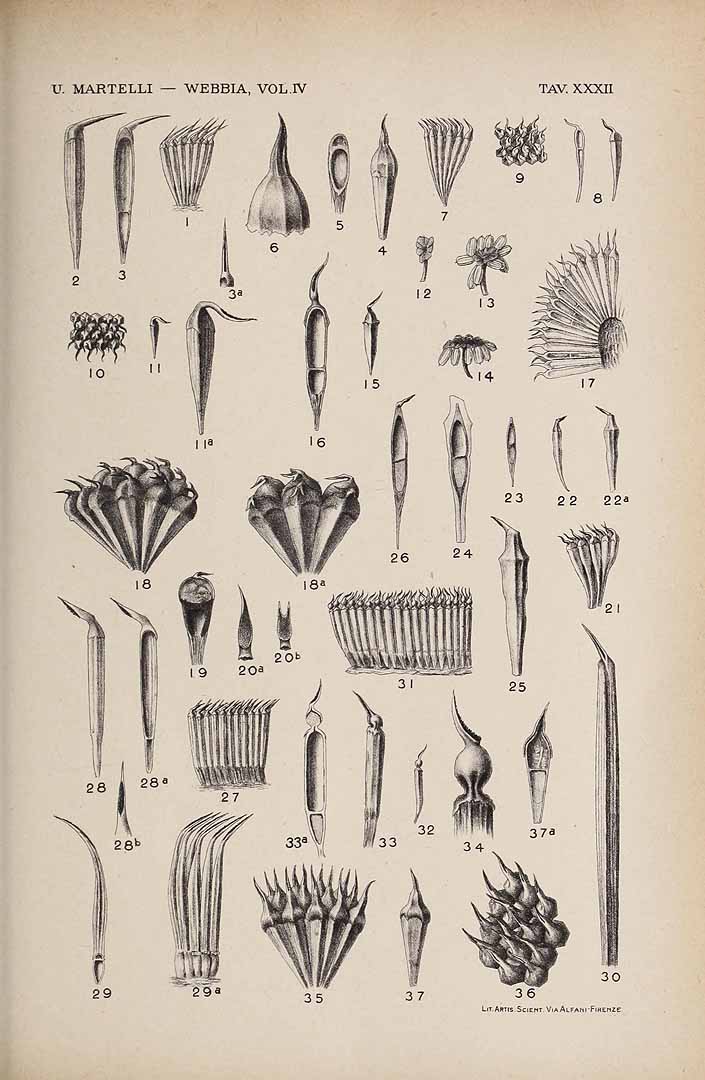 no HD illustration available (3)